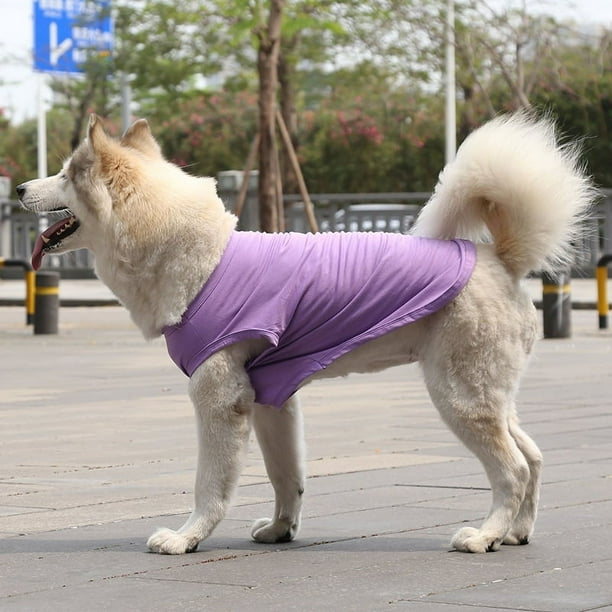 Zhuge Chaleco para perros y gatos, chaleco transpirable para mascotas, sudadera para cachorros, ropa para perros, abrigos para perros pequeños, medianos y gatos, M, A28