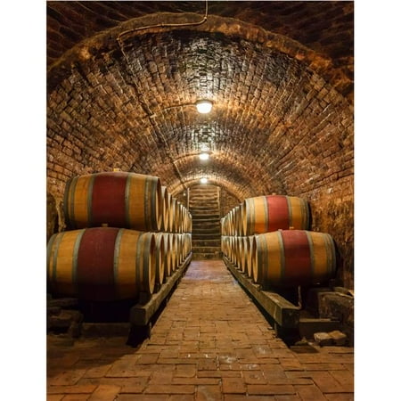 

AFD Home 12006022 Wine Cellar Gallery Wrap Art Multi Color - 48 x 2 x 36 in.