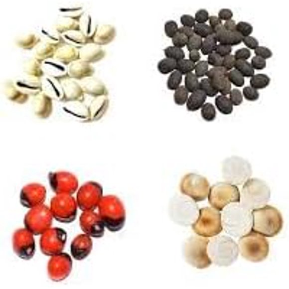 Kodi Set Goamti/Gomati Chakra, Kamal Gatta, Chrmee beej Kodi - 4 Essential Laxmi Pooja Items 11 Pieces Each for Pooja, Luxmi Poojan, Diwali Puja Attracts Wealth Four Items