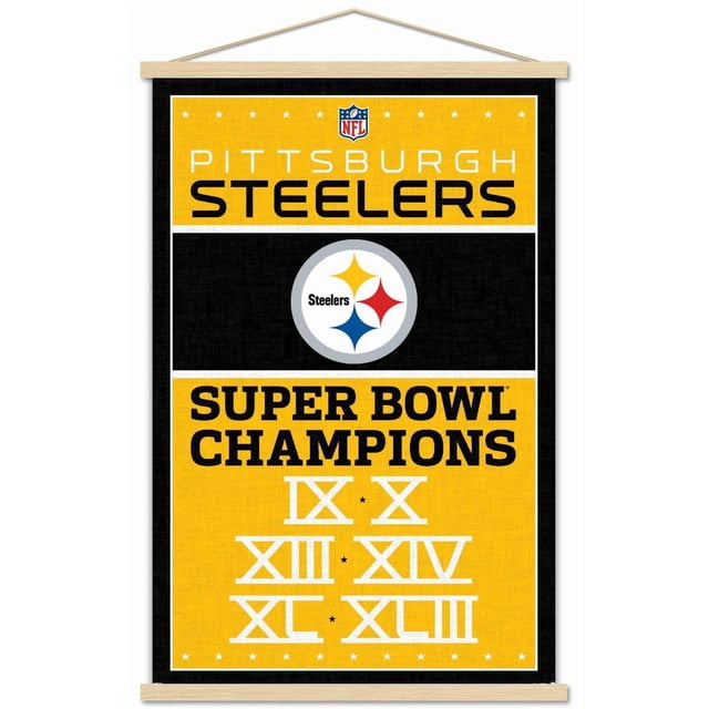NFL Pittsburgh Steelers - Champions 13