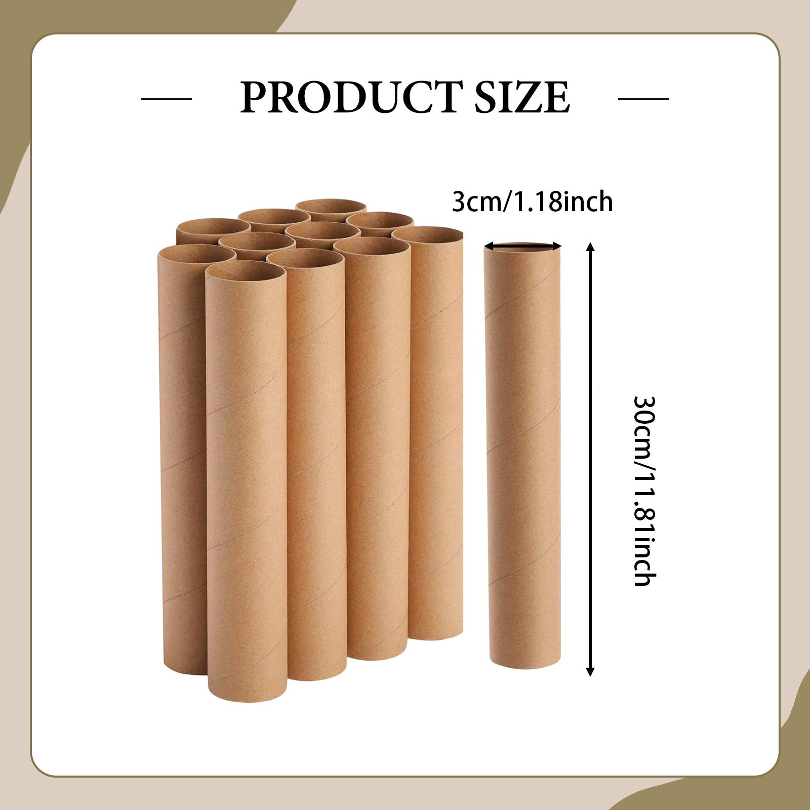 FVDPWYE 12 Pieces Cardboard Tubes Paper Towel Tubes for Family DIY Projects Handmade 30cm
