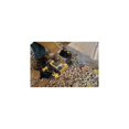 thumbnail image 4 of Martillo perforador DEWALT D25416K SDS 28 mm 9.0A con embrague electrónico, 4 of 8