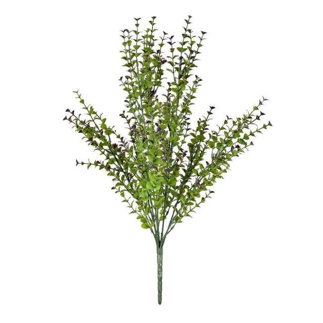 Vickerman FF190520 Eucalyptus Vert et Violet 20 Po