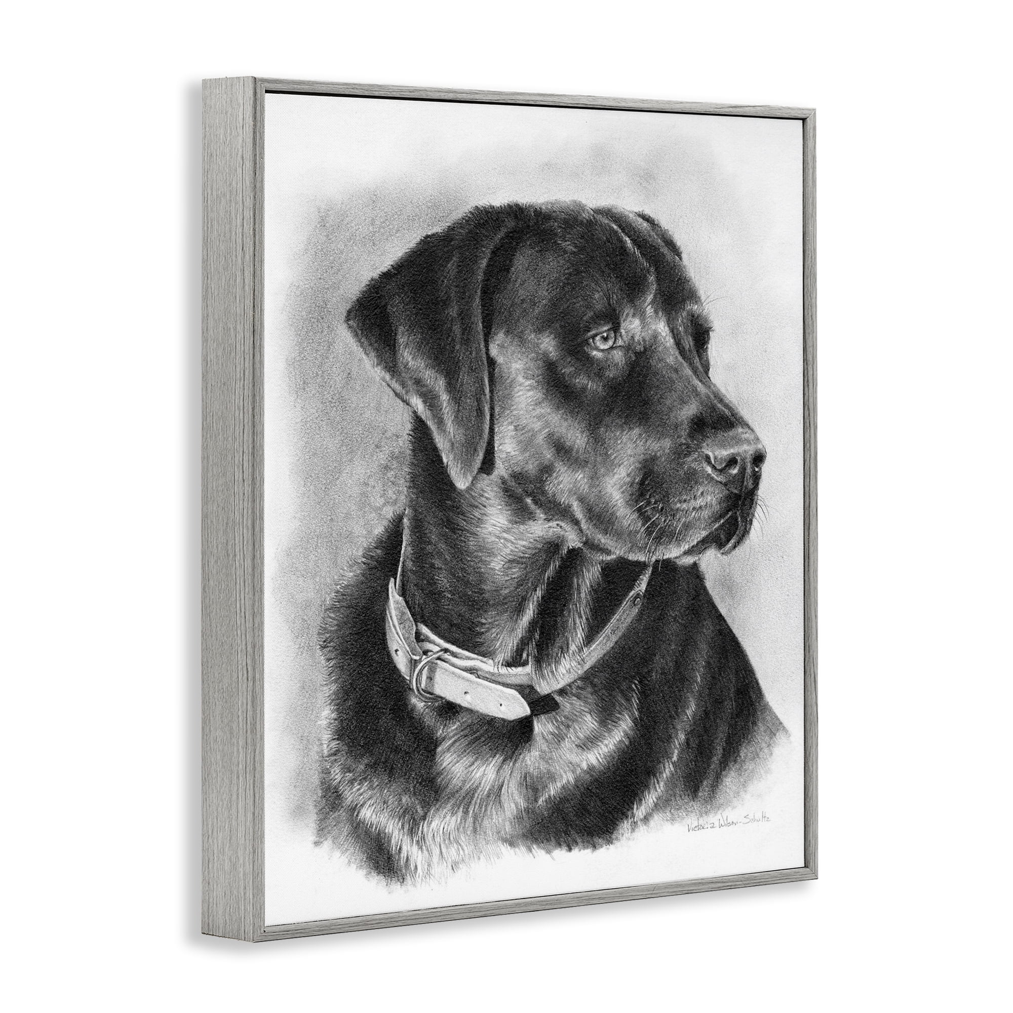 Stupell Industries Black Lab Drawing Animals & Insects Drawing Gray Framed Art Print Wall Art, 11 x 14