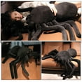 thumbnail image 3 of Peluche de araña realista para Halloween, almohada para abrazar, muñeco de terror, 3 of 7