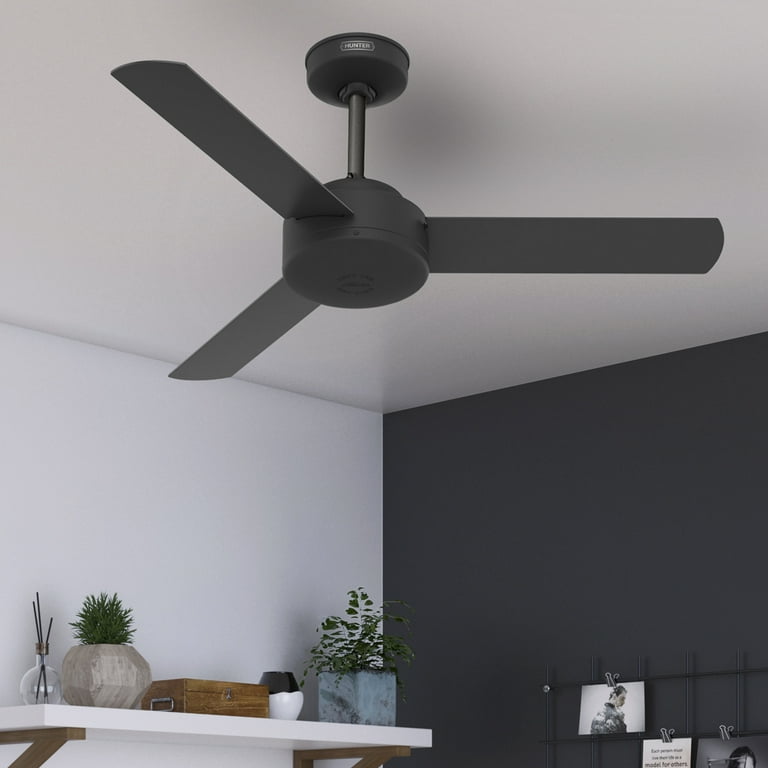 Hunter Pacific Ceiling Fan Review Shelly Lighting