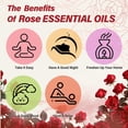 thumbnail image 2 of Aceite Esencial 100% Puro Rose Grado Terapéutico 10 ml, 2 of 7