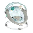 thumbnail image 3 of InLighten Bouncer™, 3 of 5