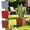 3Pcs Square Self-Watering Pot Under $5 a1, variant on CQCYD Square Self-Watering Planter, 8x8x7 Inch Faux Rattan Texture, Plastic Reservoir Container, Decorative Square Self-Watering Pot for Indoor Greenery Succulents and Home Decor