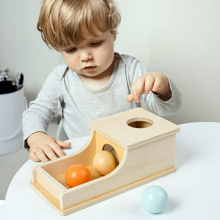 Montessori Toys for 1 2 3 Year Old, 5 in 1 Wooden Montessori Toys for  Babies 6-12 Months, Toddler Toys Kit Includes Object Permanence Box with  Ball