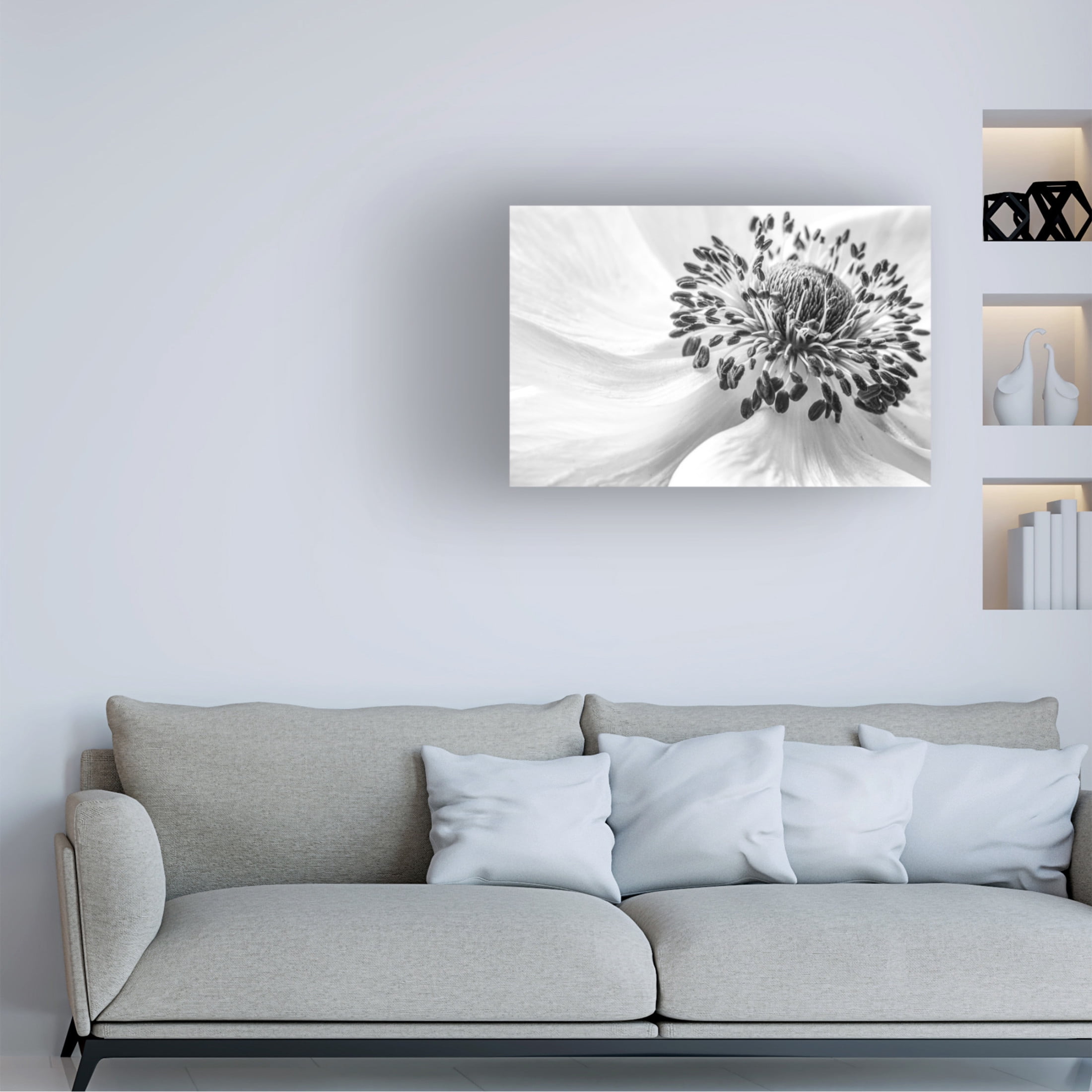Canvas Wall Art - Mandy Disher 'Anemone' Wall Art for Living Room, Bedroom, or Office D?cor by Trademark Fine Art - 24 x 16 Inches
