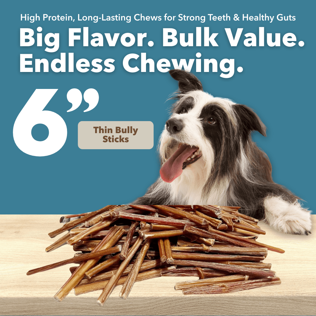 6" Thin Bully Sticks