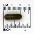 thumbnail image 2 of Nature's Way - Nettle Leaf 435 mg. - 100 Vegetarian Capsules, 2 of 4