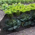 thumbnail image 2 of AMERTEER Bug Insect Garden Barrier Netting Plant Cover Thicken Mosquito Bird Screen Hunting Blind Garden Mesh Net for Protect Plant Fruits Flower (Black), 2 of 6