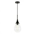 thumbnail image 3 of Evelyn&Zoe Ambrose 7.63" Wide Pendant with Glass Shade in Blackened Steel/Clear, 3 of 10