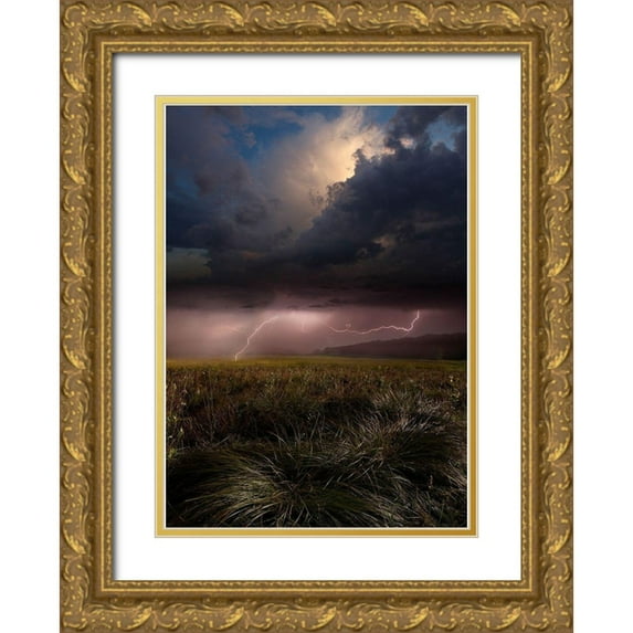 Schumacher, Nicolas 14x18 Gold Ornate Wood Framed with Double Matting Museum Art Print Titled - Summer Lights