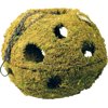 MOSSY CAVE WITH HOLES