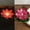 Red, variant on QuanTara LED Waterproof Floating Candle Light – Realistic Flicker Effect Lotus Lamp – Battery Operated for Pool, Pond, Wedding, Party & Garden Décor
