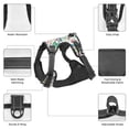 thumbnail image 6 of Lsque Fairy Flower Dog Harness, No-Pull Pet Harness with 2 Leash Clips, Adjustable Soft Padded Dog Vest with Easy Control Handle for Large Dogs-Large, 6 of 9
