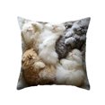 thumbnail image 2 of Tuvgenk Indoors Throw Pillow Covers Polyester 18x18 In Pillowcases Soft Multicolor Cat for Patio, 2 of 6