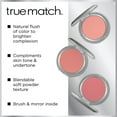 thumbnail image 4 of Fard à joues True Match de L'Oréal Paris, 6 g, 4 of 7