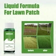Seed Spray Liquid, grass seeds for lawn Liquid Seeding Grass Lawn