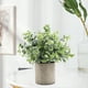 thumbnail image 3 of 2 piezas de plantas artificiales en maceta para interior, adorno para boda al aire libre Desmodium+Pequeño Eucalipto, 3 of 9