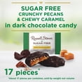 thumbnail image 4 of RUSSELL STOVER Sugar Free Dark Chocolate Pecan Delights Candy, 10 oz. bag, 4 of 11