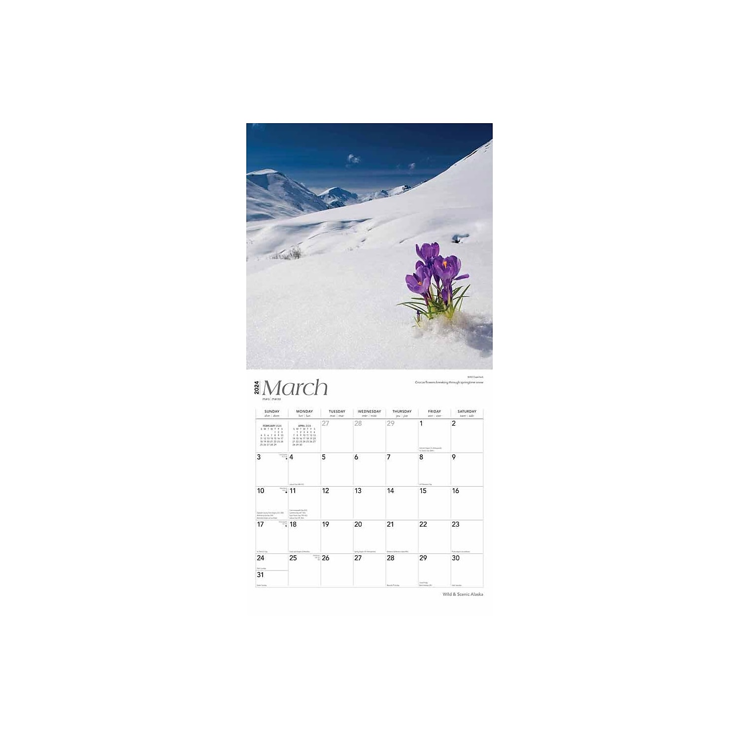 Alaska Wild & Scenic 2024 Wall Calendar 12x12 by Browntrout