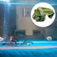 thumbnail image 4 of Cueva escondida de reptiles jinwen Decoración para Pecera de resina, 4 of 8