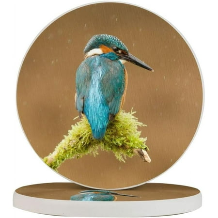 

Set of 2 Round Coasters Bird-Kingf-Isher-Bird for Drinks 4 Inch Ceramic Cups Place Mats Home Decor