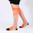thumbnail image 6 of SPRING PARK Sports Compression Sock Women and Men-Best Running, Athletic Sports, Calf High Socks, 6 of 6