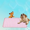 thumbnail image 4 of Pet Sleep Mat Brethable Cooling Dog Sleep Mat Pet Sleep Pad for Summer, 4 of 10