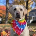 thumbnail image 2 of Dog Bandana 1 Pack,Colorful Rainbow Tie Dye Spiral Pattern Bandanas for Dogs,Cat Bandana,Small/ Large Dog Bandana 2 Size,Dog Bandanas, 2 of 6