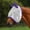 Purple, variant on Schneiders Dura-Mesh Original Fly Horse Mask With Ears | Pink | Medium/Large Pony