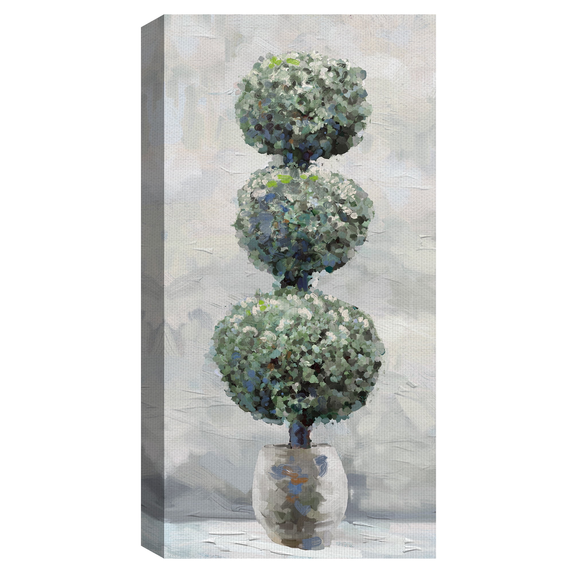 Masterpiece Art Gallery Topiary I Shrub By Studio Arts Canvas Art Print 24" x 48"
