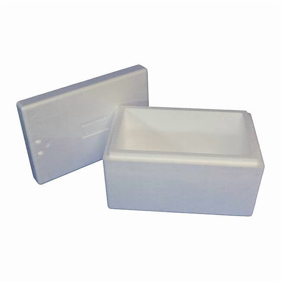 Insulated Shipping Bio Foam & Carton, 1-5 Day, Inside Depth: 8-1/4"