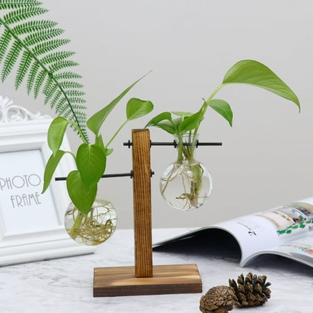 

Desktop Glass Planter Bulb Vase Retro Solid Wooden Stand Hydroponics Plants
