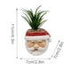 thumbnail image 2 of Jarrón, Florero Macetas navideñas de resina, Flores de plástico, Macetas navideñas, Macetas suculentas, Artesanías, Decoraciones de flores artificiales para jardín Las flores falsas son suculentas, 2 of 4