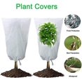 thumbnail image 3 of 6 Piezas Cobertor de Invierno para Plantas en Macetas, Cobertor Protector de Plantas, Protector de Plantas contra Heladas de Invierno con Cordón para Protección de Plantas (60 x 80 cm), 3 of 5