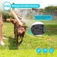 thumbnail image 4 of Moclever 2 in 1 Wireless Electric Dog Fence Waterproof Pet Shock Boundary Containment System 20-850ft Electric Training Collar for Small Medium Large Dogs, 1 Transmitter 2 Receiver Collars, Gold, 4 of 15