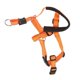 thumbnail image 1 of dog head collar breathable dog head harness dog mouth cover with adjustable strap for outdoor orange l, 1 of 5