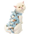 thumbnail image 1 of CSChome Combinaison de Neutralisation pour Chat - Vêtements de Récupération Imprimé Fruits après Chirurgie Sangle Réglable, 1 of 7