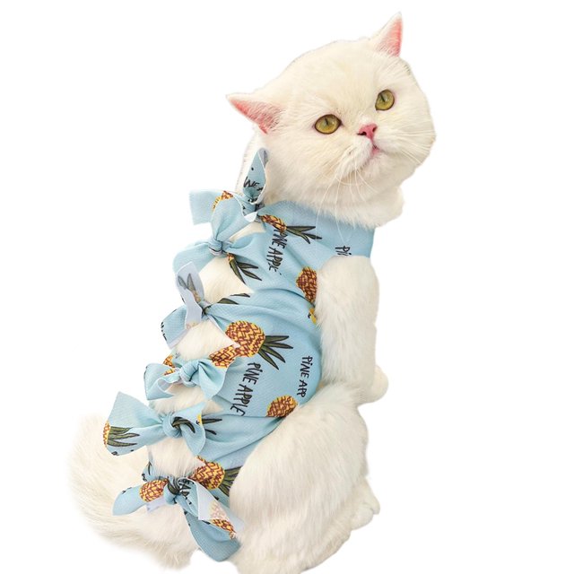 CSChome Combinaison de Neutralisation pour Chat - Vêtements de Récupération Imprimé Fruits après Chirurgie Sangle Réglable