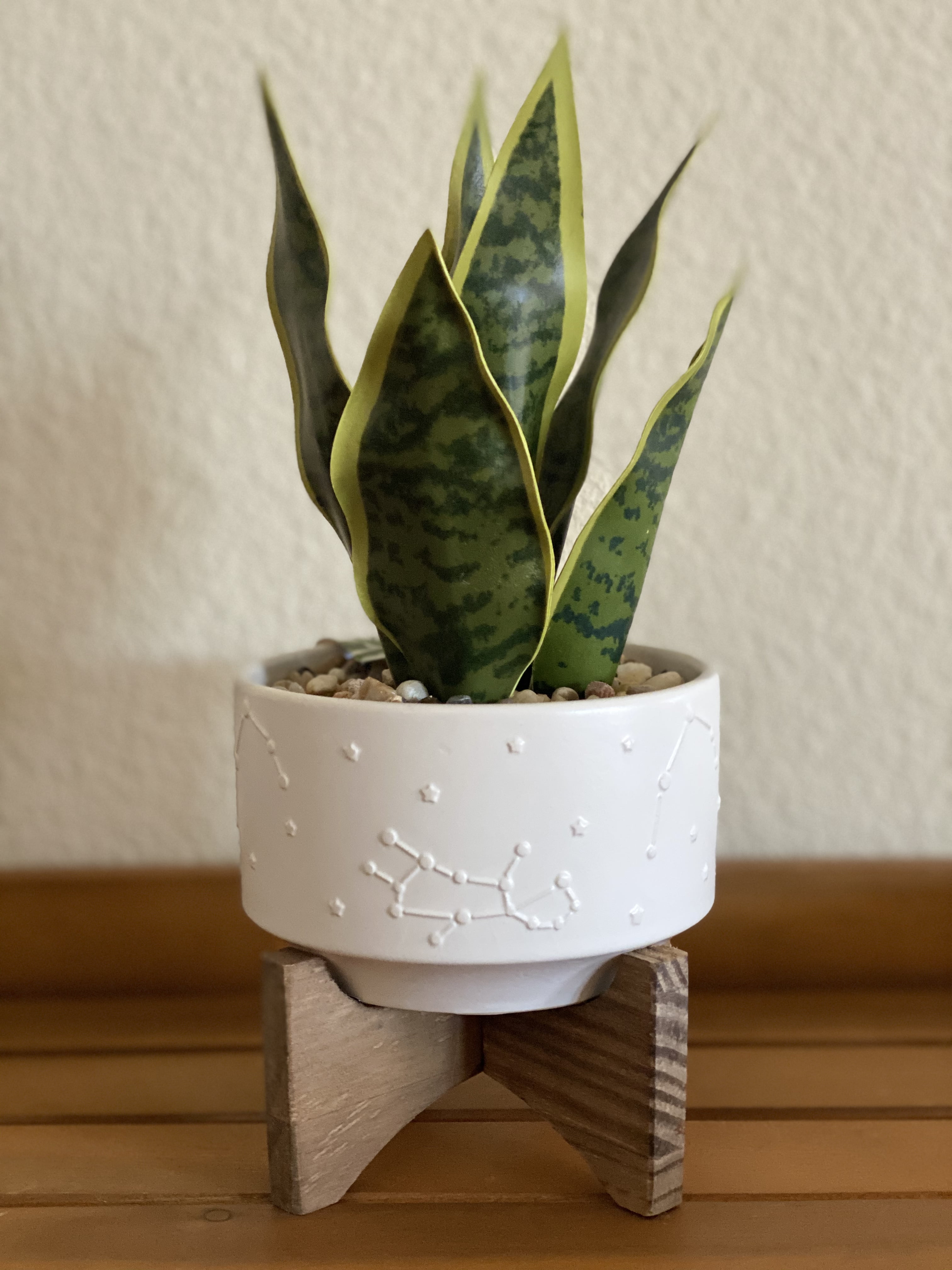9.75' Artificial Snake Plant in Ceramic Ceramic Pot, by Flora Bunda