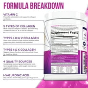 Vitauthority Multi Collagen Peptides Hydrolyzed Protein Powder with Hyaluronic acid & Vitamin C, Pina Coladae, 9.7 oz