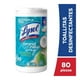 thumbnail image 1 of Toallitas Desinfectantes para Superficies Lysol Brand New Day Coconut & SeaMinerals 80 unidades, 1 of 4