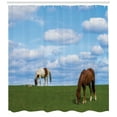 thumbnail image 3 of Ambesonne Minnesota Shower Curtain, Horses Grazing Meadow, 69"Wx84"L, Multicolor, 3 of 3