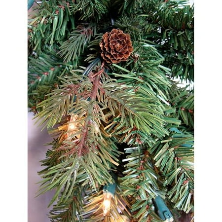 Northlight Seasonal Hunter Fir Pre-Lit Artificial Christmas Wreath