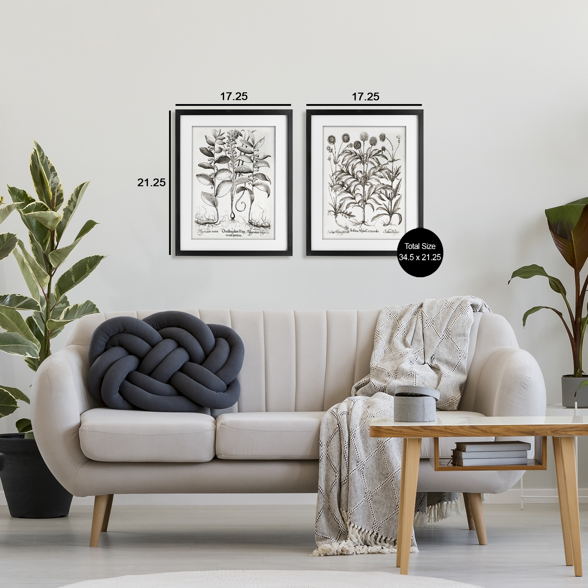 Botanical Root & Plant Studies 2 Piece Black Framed Print Under Glass Set, design by Lettered and Lined